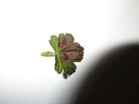 IMG_0270.JPG