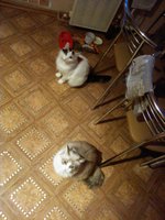 2015-12-26 09-34-37.JPG