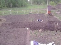 Майские.jpg