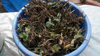 DSCF6324.JPG