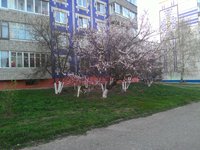 1P_20160428_192734.jpg