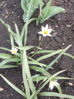 IMG_20160428_142653.jpg