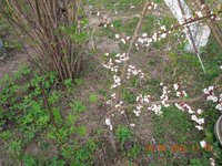 DSCN4541.JPG