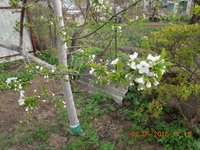 DSCN4543.JPG
