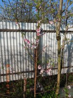 DSCN4560.JPG