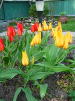 IMG_0130-1.jpg