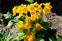 DSCF0403_1.JPG