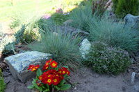 DSCF0416_1.JPG