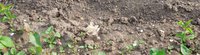 DSCN4595.JPG