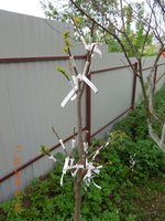 DSCN4597.JPG