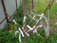 DSCN4599.JPG