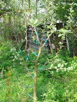 DSCN4596.JPG