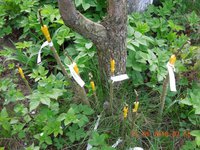 DSCN4603.JPG