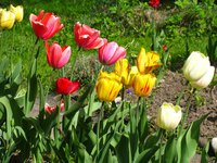 IMG_0230-1.jpg