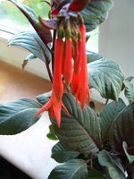 IMG_0267-1.jpg