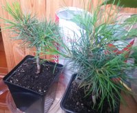 20160519_122123.jpg