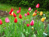 IMG_0337-1.jpg