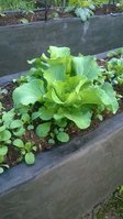 WP_20160522_005.jpg