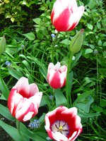 IMG_0359-1.jpg
