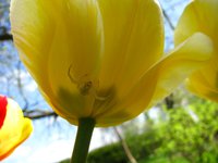 IMG_0152-1.jpg