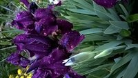 WP_20160521_20_38_40_Pro.jpg
