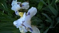 WP_20160521_20_38_51_Pro.jpg
