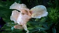 WP_20160521_20_38_59_Pro.jpg