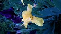 WP_20160521_20_39_06_Pro.jpg