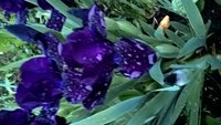 WP_20160521_20_39_21_Pro.jpg