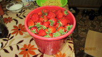 IMG_2360_resize.JPG
