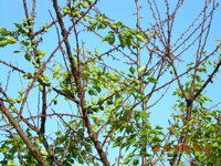 DSCN1212.JPG
