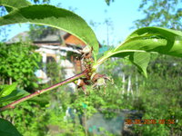 DSCN1217.JPG