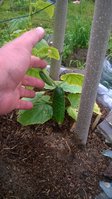 WP_20160528_010.jpg