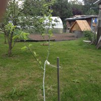 IMG_4792_1.jpg