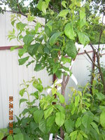 DSCN1218.JPG