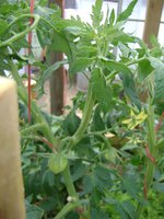 DSC05485.JPG