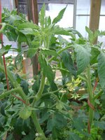 DSC05484.JPG