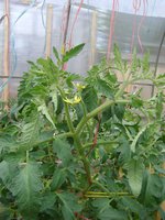 DSC05483.JPG