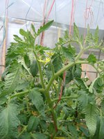 DSC05482.JPG