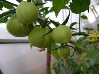 DSC05462.JPG
