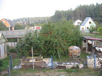 IMG_1730.jpg