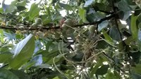 WP_20160604_20_35_13_Pro.jpg
