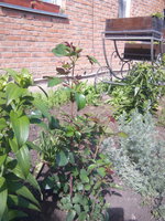 IMG_20160610_160446.jpg