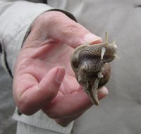 IMG_3249.JPG