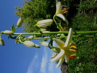 20160614_085907.jpg