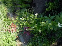 20160613_070614.jpg