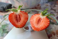IMG_5581.jpg
