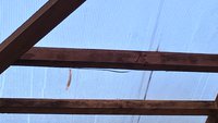 WP_20160619_06_21_07_Pro.jpg
