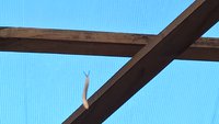 WP_20160619_06_21_34_Pro.jpg