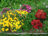 DSC00495.JPG